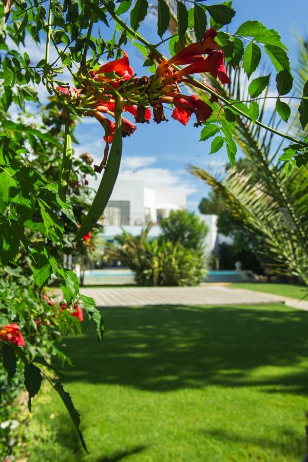 La Villa Majorelle Пертюи Екстериор снимка