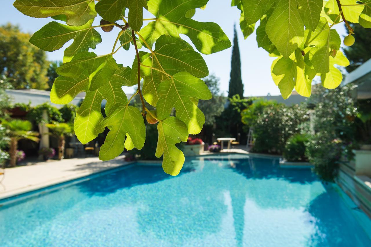 La Villa Majorelle Пертюи Екстериор снимка
