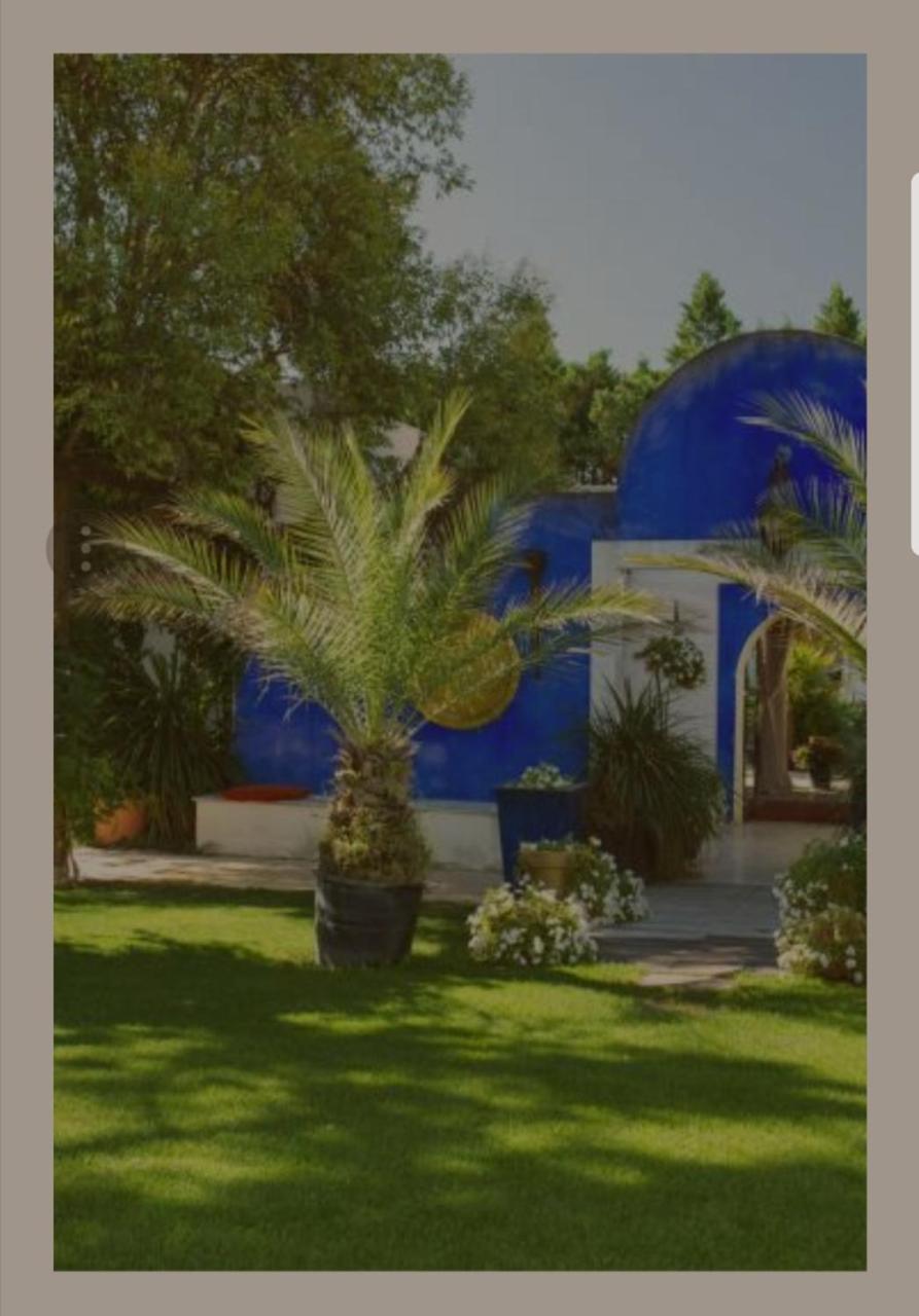 La Villa Majorelle Пертюи Екстериор снимка
